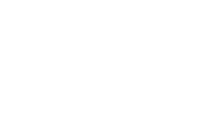 fenix-1